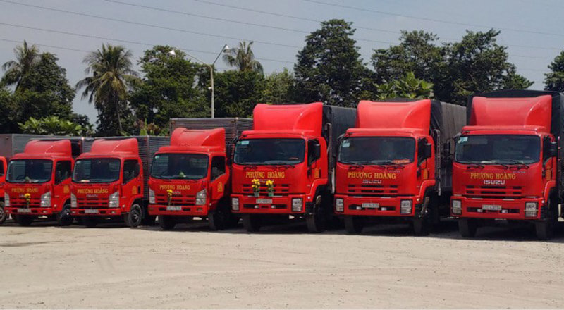 Lựa chọn nhà cung cấp dịch vụ vận chuyển hàng hóa chuyên nghiệp