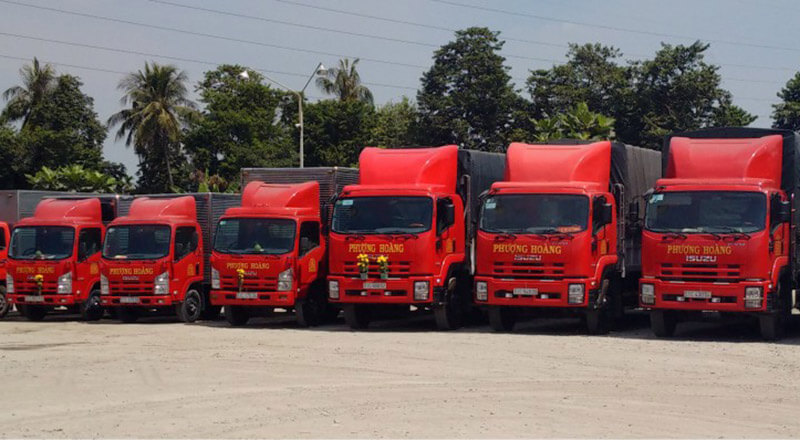Lựa chọn nhà cung cấp dịch vụ vận chuyển hàng hóa chuyên nghiệp để tối ưu chi phí Lựa chọn nhà cung cấp dịch vụ vận chuyển hàng hóa chuyên nghiệp