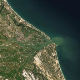 Dịch vụ vận tải